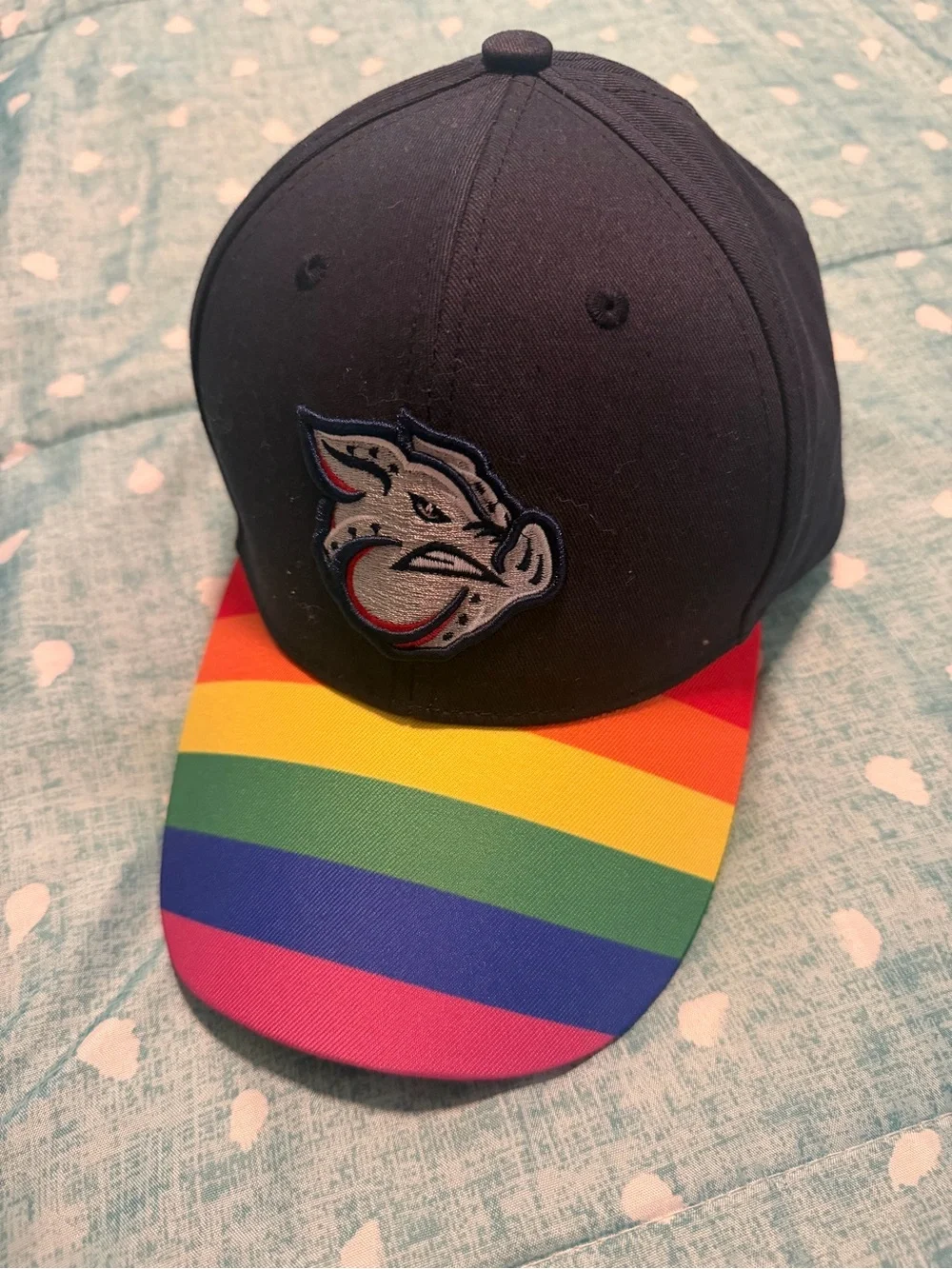 Adult Iron Pigs Rainbow Stripe Brim Baseball Cap. MUST BE BUNDLED